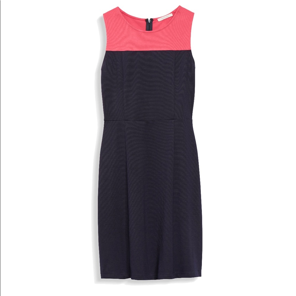 Colorblock knit dress
